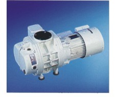 Safe to operate roots with its under vacuum canned motor